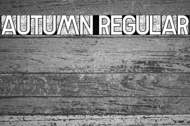 Autumn Regular Font examples