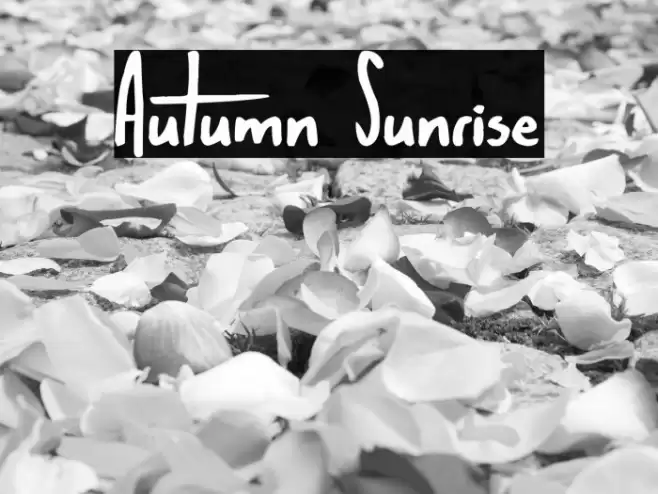 Autumn Sunrise Font examples