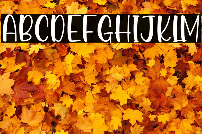 Autumn Vibes Example 2