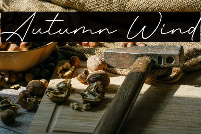 Autumn Wind Example 1