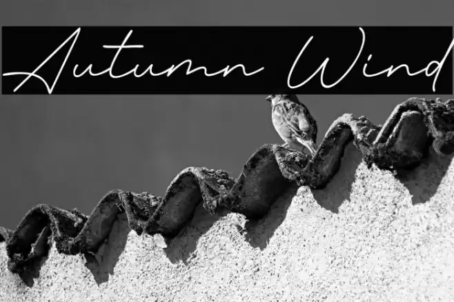 Autumn Wind फ़ॉन्ट examples