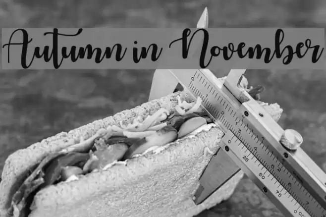 Autumn in November Шрифта examples