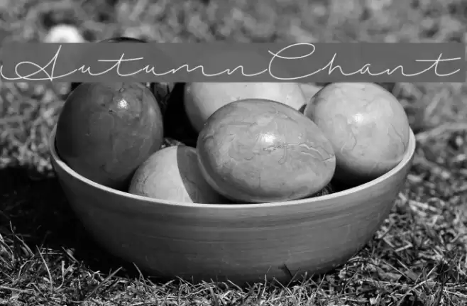 AutumnChant Font examples