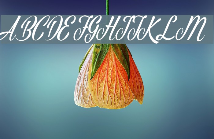 AutumnFlower Font examples