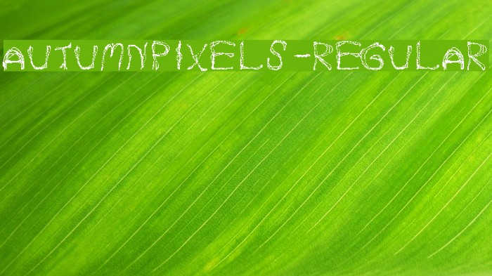 AutumnPixels-Regular Example 3
