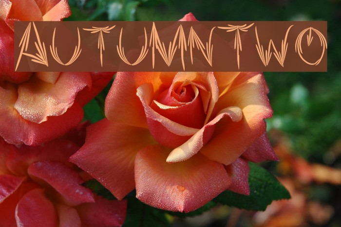 AutumnTwo Font examples