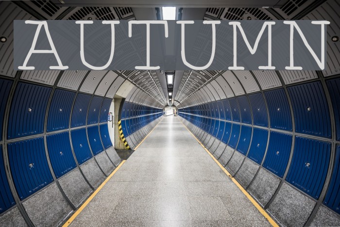 Autumn Font examples