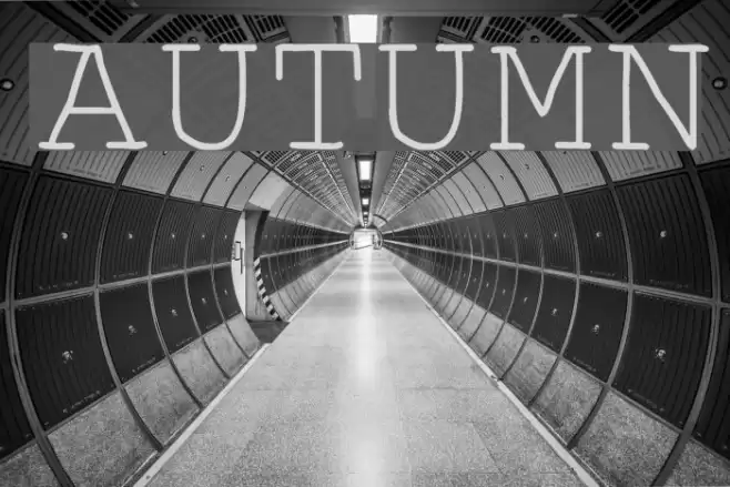 Autumn Polices examples