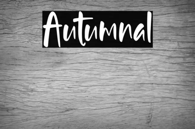 Autumnal Font examples