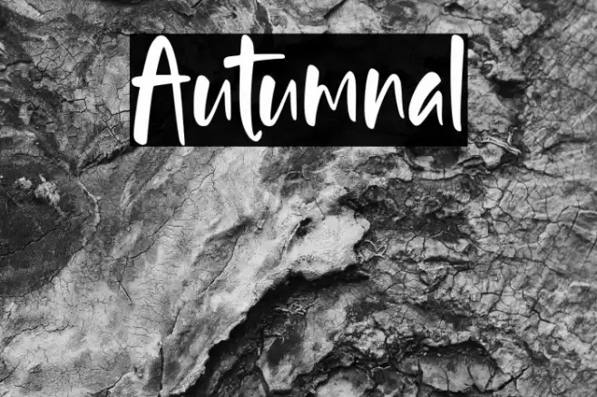 Autumnal Font examples