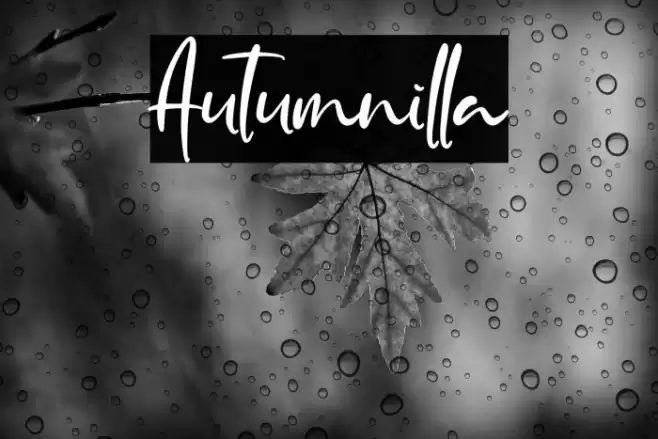 Autumnilla Font examples