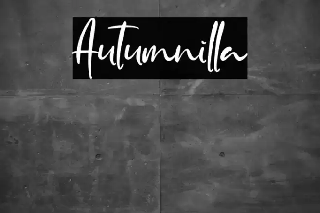 Autumnilla Font examples