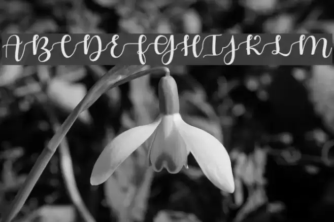 AutumninNovember Font examples