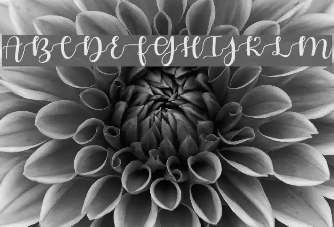 AutumninNovember Font examples