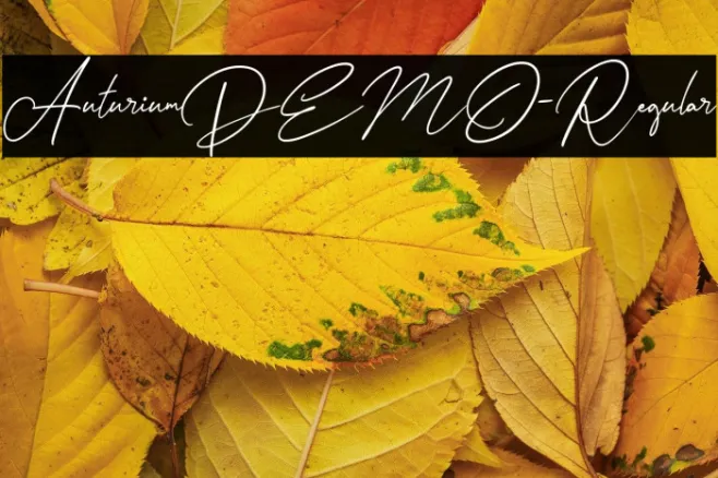 AuturiumDEMO-Regular Example 1