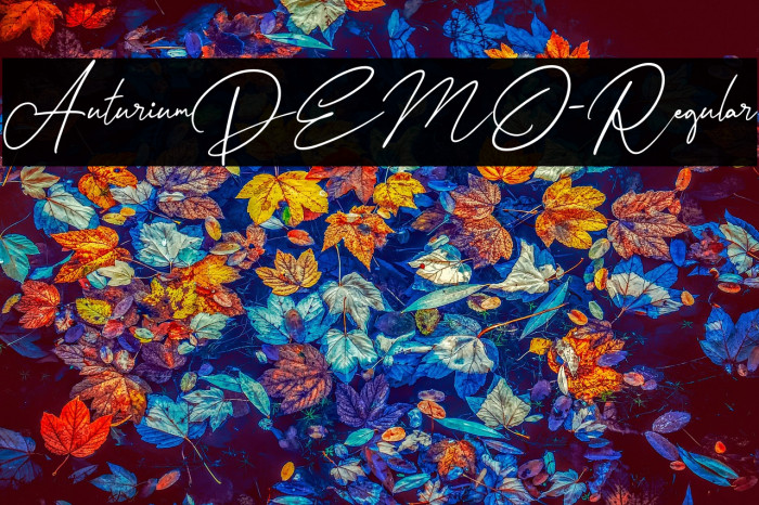 AuturiumDEMO-Regular Example 2