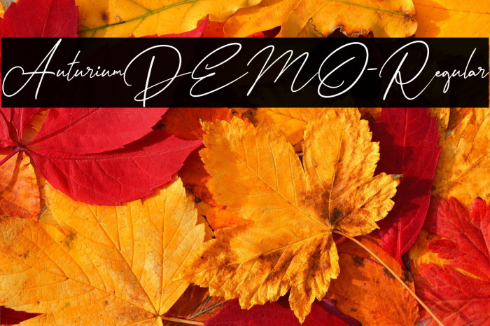 AuturiumDEMO-Regular Example 3