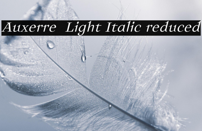 Auxerre 46 Light Italic reduced Example 1