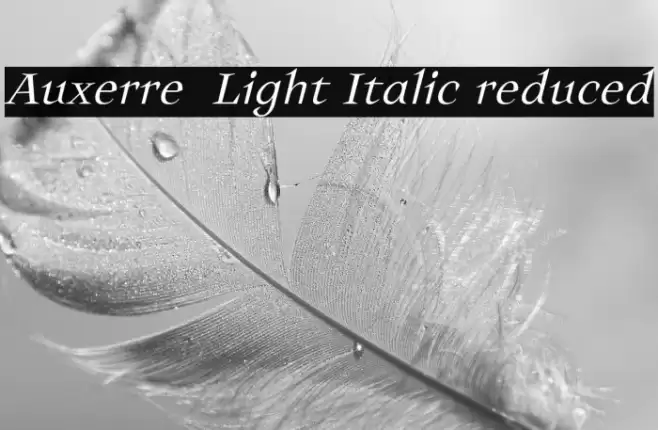 Auxerre 46 Light Italic reduced Font examples