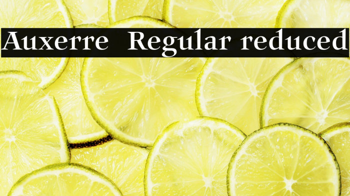 Auxerre 55 Regular reduced Example 1