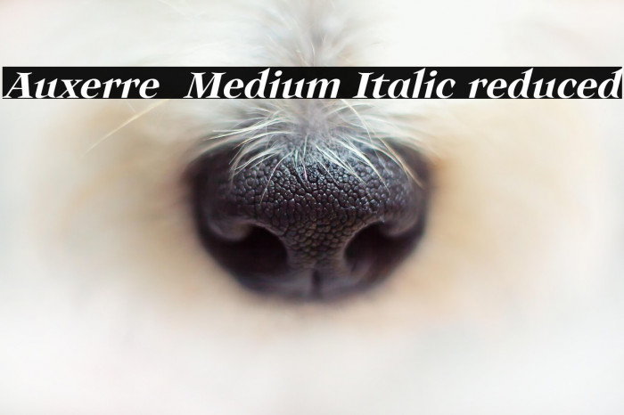 Auxerre 66 Medium Italic reduced Example 1