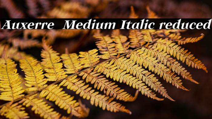 Auxerre 66 Medium Italic reduced Example 3
