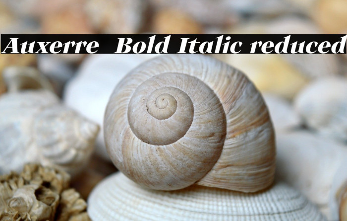 Auxerre 76 Bold Italic reduced Example 1