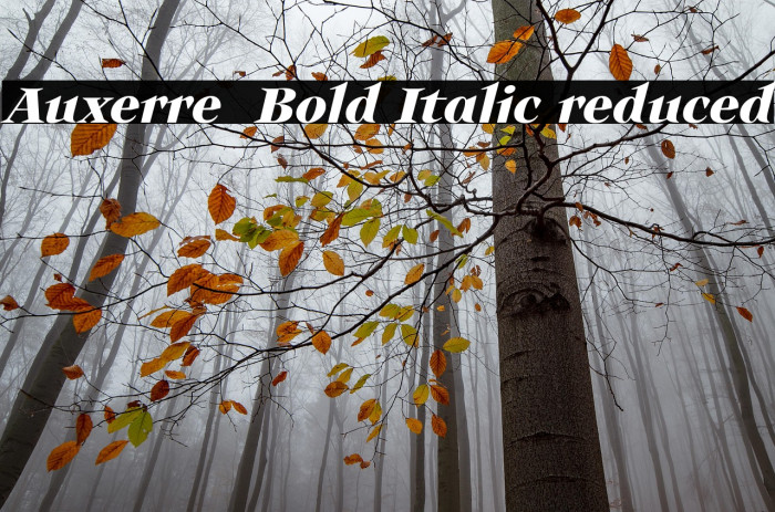 Auxerre 76 Bold Italic reduced Example 3