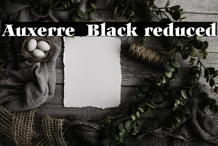 Auxerre 85 Black reduced Example 1