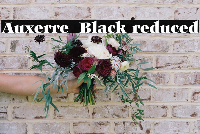 Auxerre 85 Black reduced Example 2