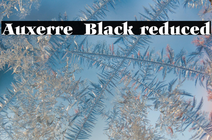 Auxerre 85 Black reduced Example 3