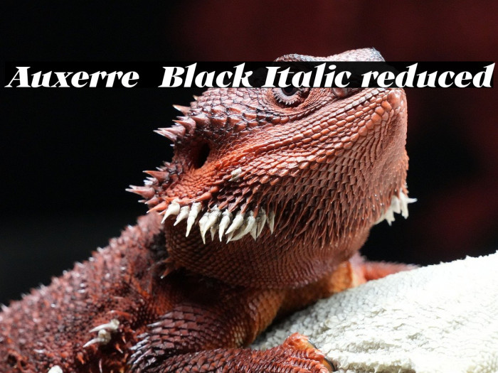 Auxerre 86 Black Italic reduced Example 1