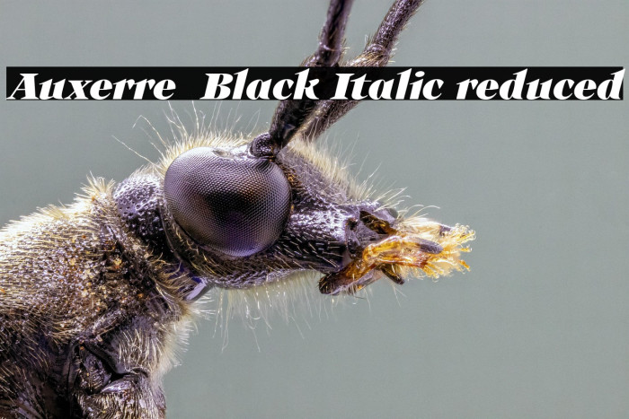 Auxerre 86 Black Italic reduced Example 2