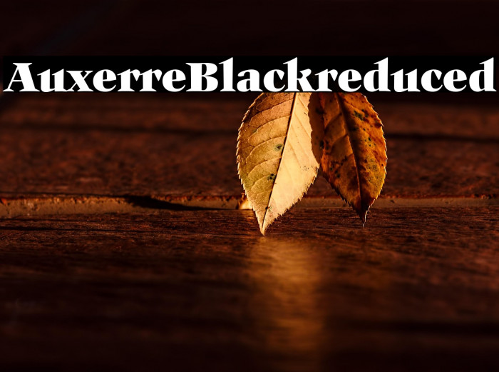 Auxerre-Blackreduced Example 2