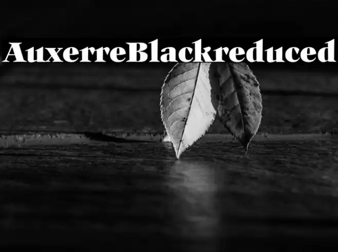 Auxerre-Blackreduced Font examples