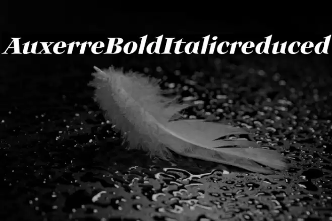 Auxerre-BoldItalicreduced Font examples