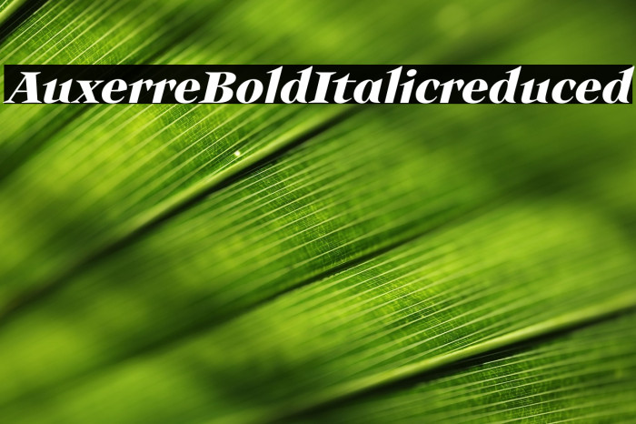 Auxerre-BoldItalicreduced Example 2