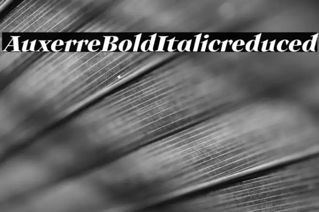 Auxerre-BoldItalicreduced Font examples