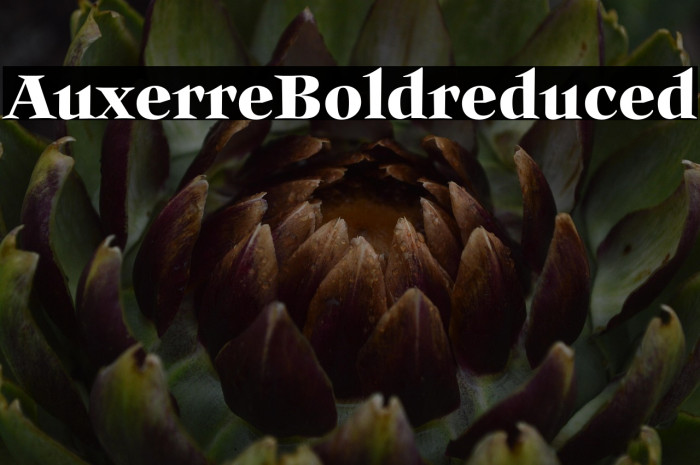 Auxerre-Boldreduced Example 3