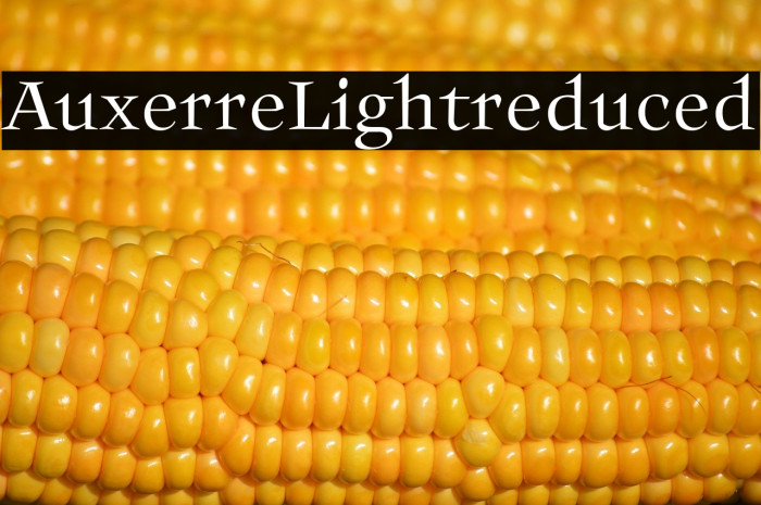 Auxerre-Lightreduced Example 1