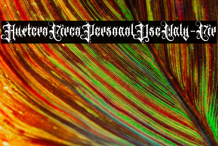 AuxteraCircaPersonalUseOnly-Cir Example 1