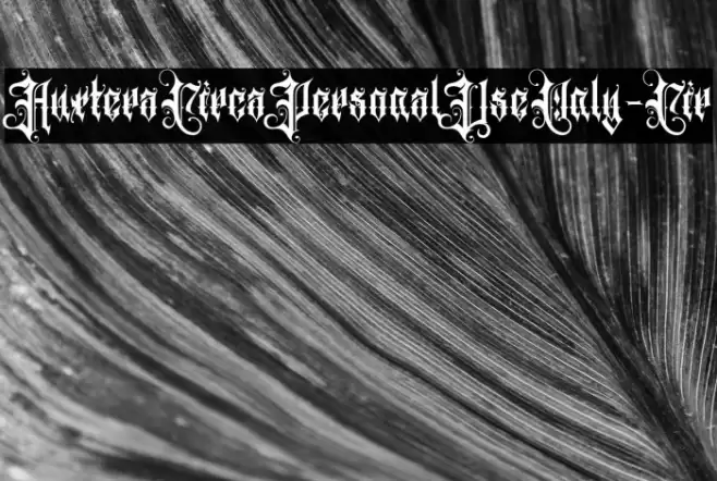 AuxteraCircaPersonalUseOnly-Cir Font examples