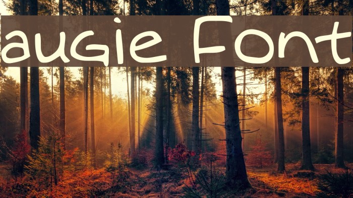 augie Polices examples