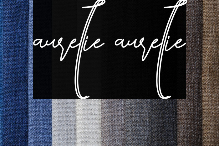 aurellie aurellie Example 2