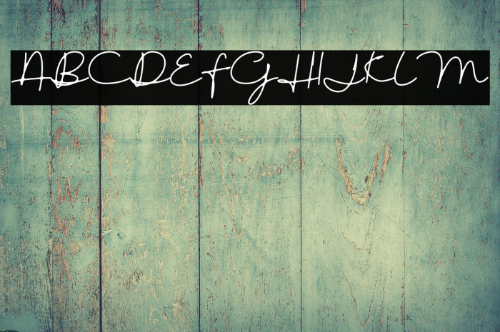 austinsigns Example 2