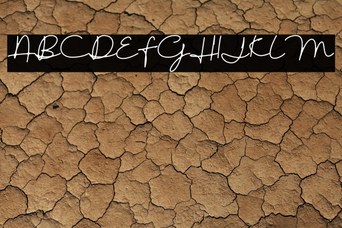 austinsigns Example 3