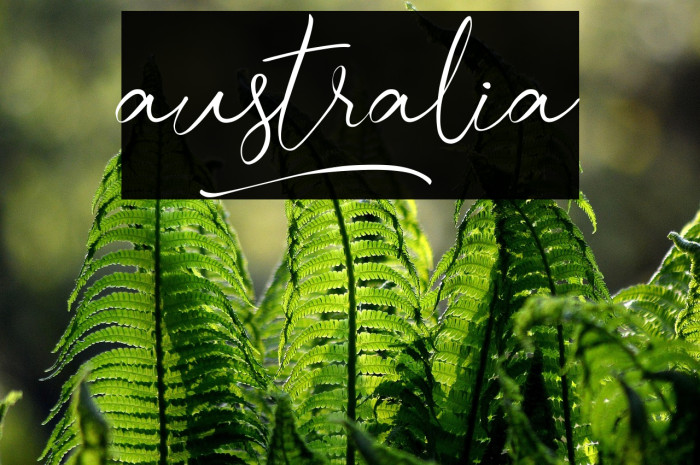 australia] Example 1