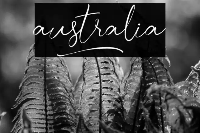 australia] خط examples