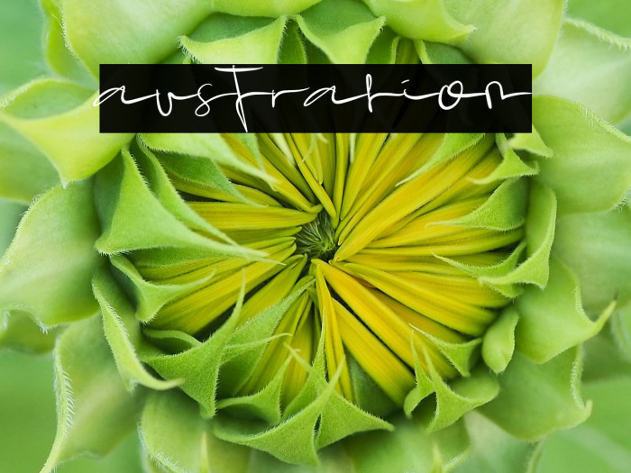 australion Example 1