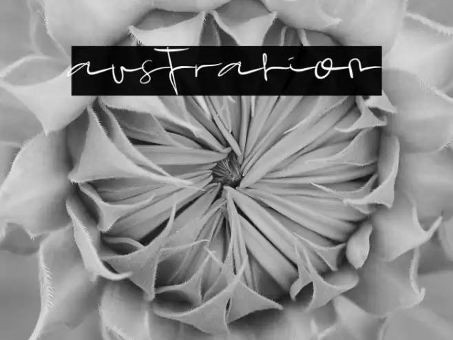 australion Font examples